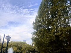 -棕榈岛海鲜自助餐厅(虹桥迎宾馆店)