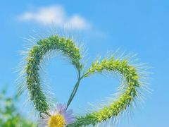 -蓝精灵乐园·世茂精灵之城主题乐园