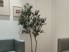 -极简口腔(总院)