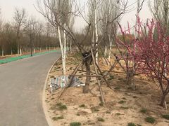-东郊湿地公园