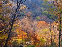 -大连天门山国家森林公园