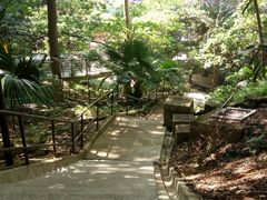 -香港大学
