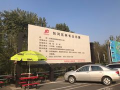 -合肥滨湖国家森林公园