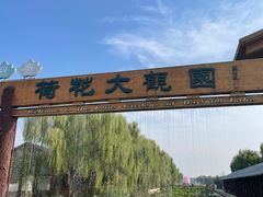 -白洋淀景区