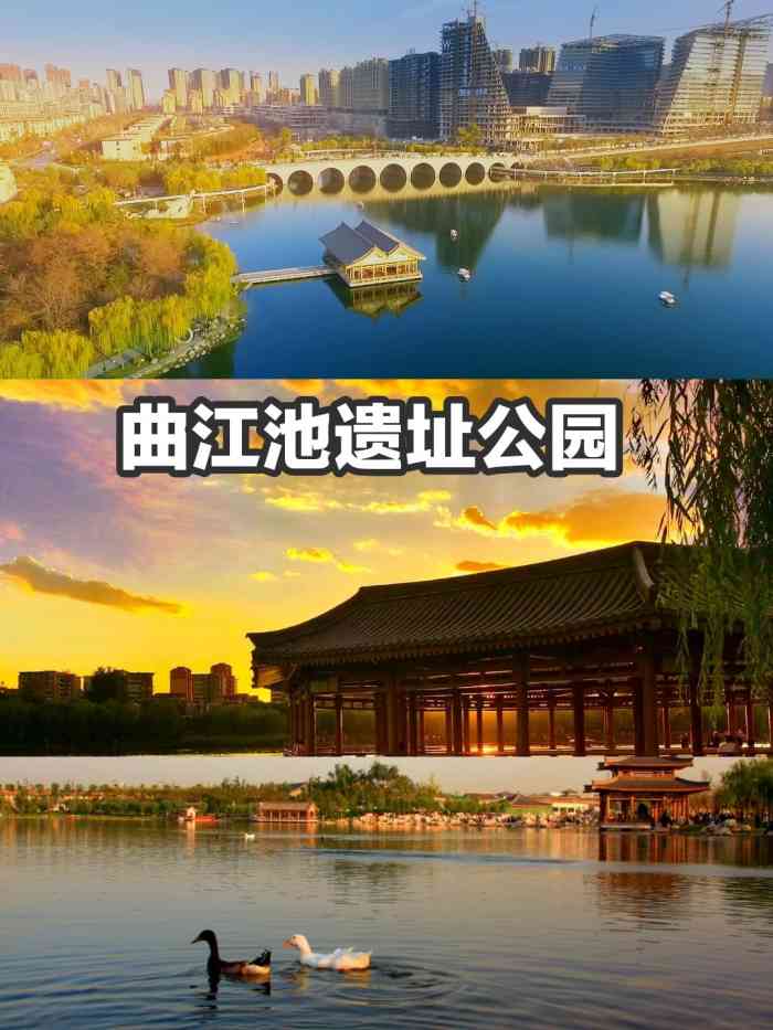 曲江南湖公园景点介绍图片