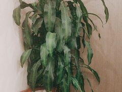 -高老庄新家宴(北斗星广场店)