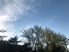 -上海大众空港宾馆