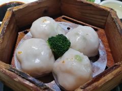 -龙凤点心饼家·39年老字号(松岗店)