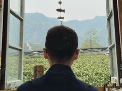 -龙坞茶村