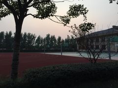 -上海星河湾双语学校