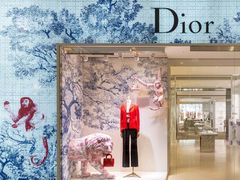 -DIOR迪奥(德基广场女装店)