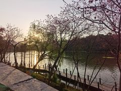 -重庆彩云湖湿地公园