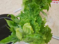 有机生菜-粤潮牛肉火锅店(江南大道店)