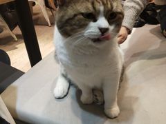 -小时光咖啡馆(开森度假森林店)