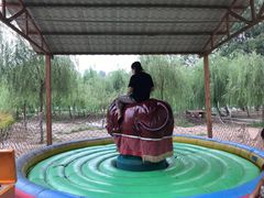 -东方巨龟苑景区