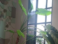 -一尺花园(安和花园店)