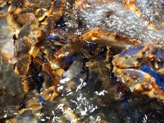 -盒马鲜生(悦峰店)