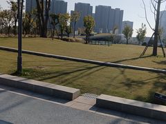 -金沙湖公园