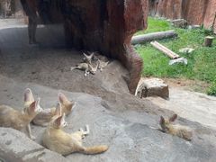 -杭州野生动物世界