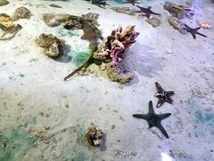 -重庆欢乐海底世界