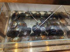-十八字金银饰·拼豆·开蚌手工体验团建(君太百货店)