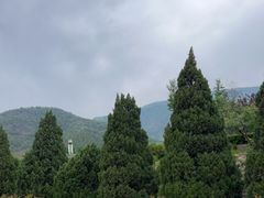 -北京十三陵国家森林公园蟒山景区
