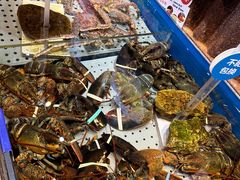 -开海·红岛海鲜虾水饺(石老人店)