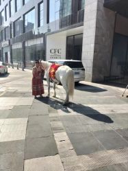 -成都首座万豪酒店·宴会厅