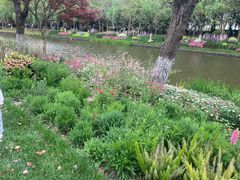 -上海鲜花港