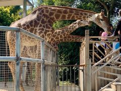 -泉州海丝野生动物世界