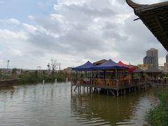 -一煲鸽