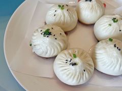 鲜肉生煎包-圆苑(金茂店)