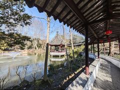 -上海醉白池公园