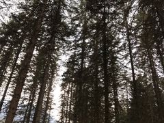 -硗碛藏寨·神木垒景区