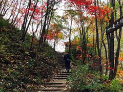-龙道沟景区