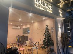 -猫咪派对(江南西店)