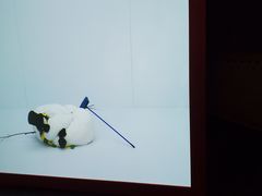 -Nathalie Djurberg与Hans Berg“牛皮纸包裹的月亮”-Prada荣宅当季展览