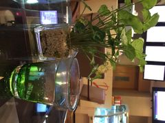 iphone_upload_pic-宁波华侨温德姆至尊豪廷大酒店·多丽美食屋