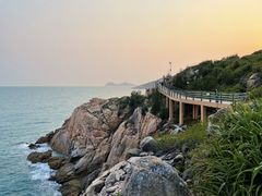 -广东惠东海龟国家级自然保护区