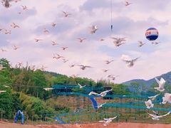 -瓷天下海丝谷