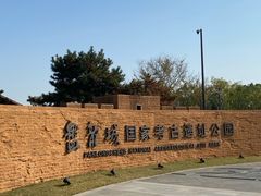 -盘龙城国家考古遗址公园