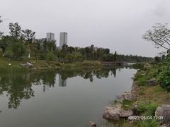 -桂溪生态公园