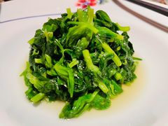 清炒豌豆尖儿-晟永興烤鸭店(五道口店)