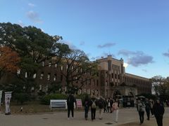 -大阪市立自然史博物馆