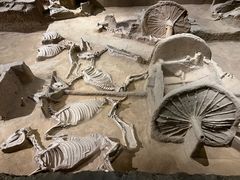 -洛阳周王城天子驾六博物馆