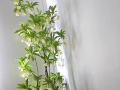 -小隐·采耳头疗spa(环宇城店)