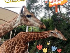 -泉州海丝野生动物世界