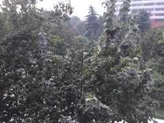 -山东大学(千佛山校区)