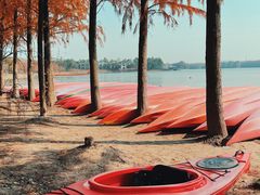 -上海海湾国家森林公园