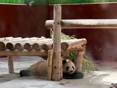 -杭州野生动物世界
